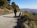 images/album1/00017.jpg